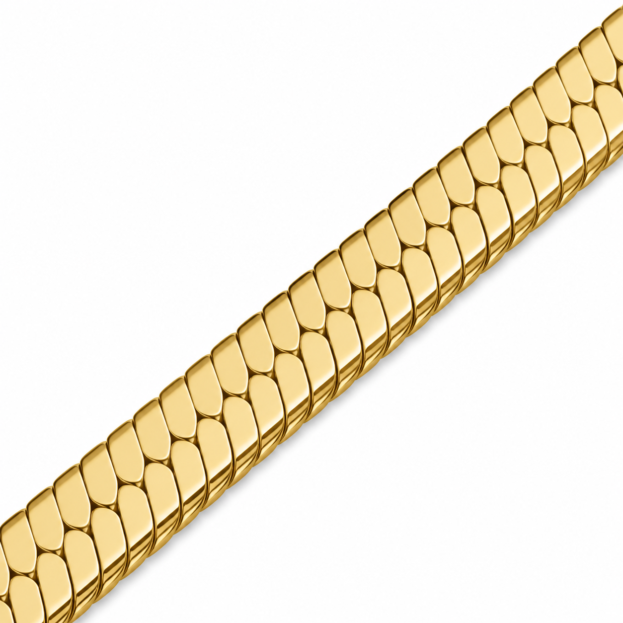 Sleek Snake Chain