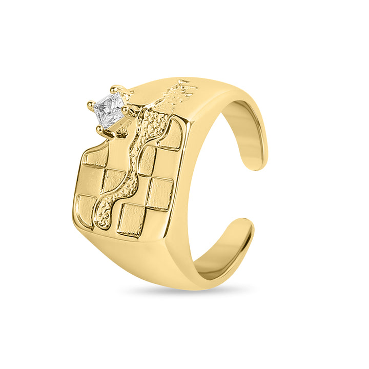 Abstract Box Ring