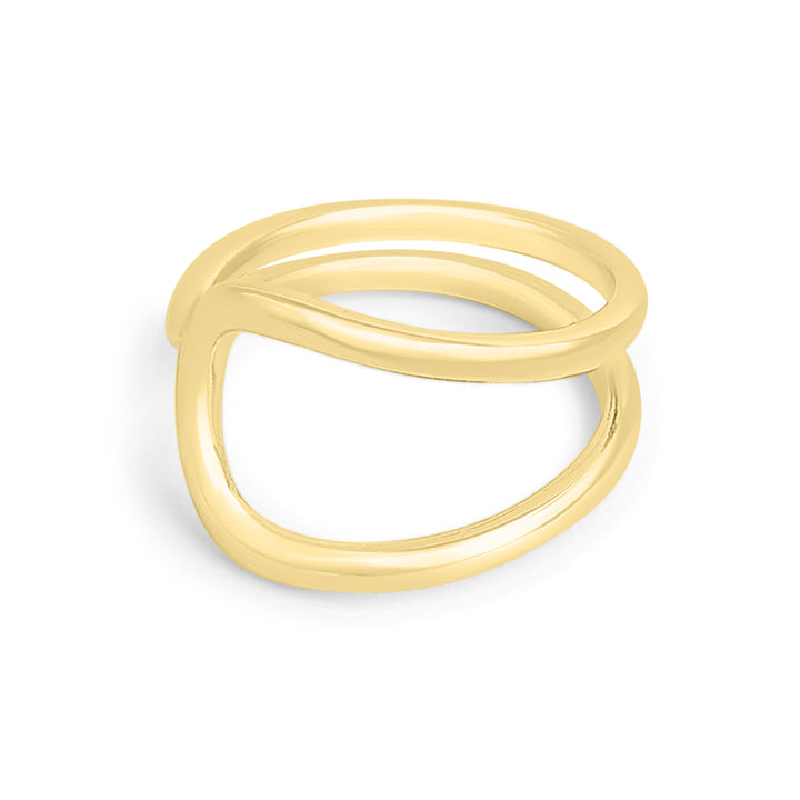 Differential Ring