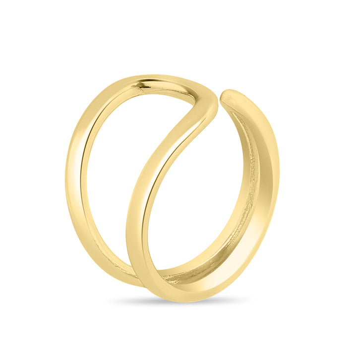 Differential Ring